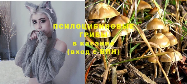гидра Осинники