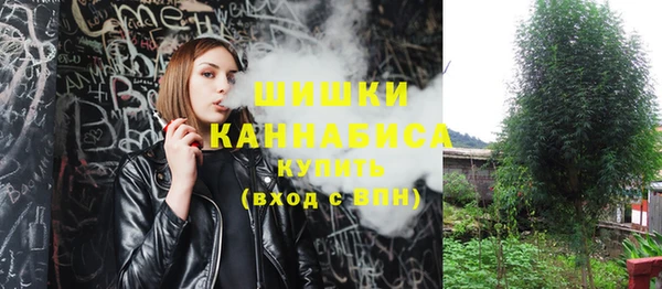 мдпв Осташков