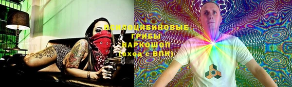 ПСИЛОЦИБИНОВЫЕ ГРИБЫ Алзамай